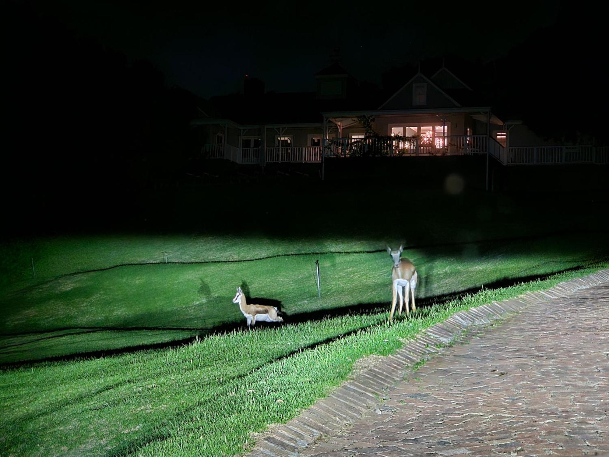 Die Heerenhuys Guest Suites สเตลเลนบอช ภายนอก รูปภาพ